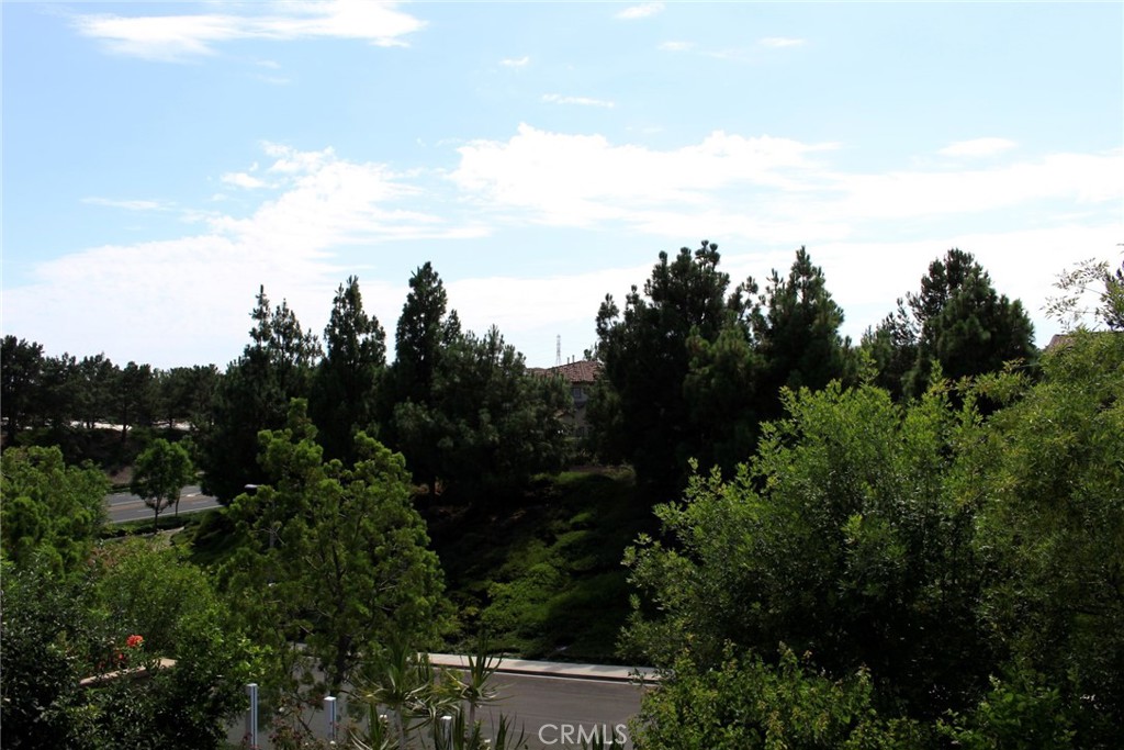 1 Via Abruzzi Property Photo 16