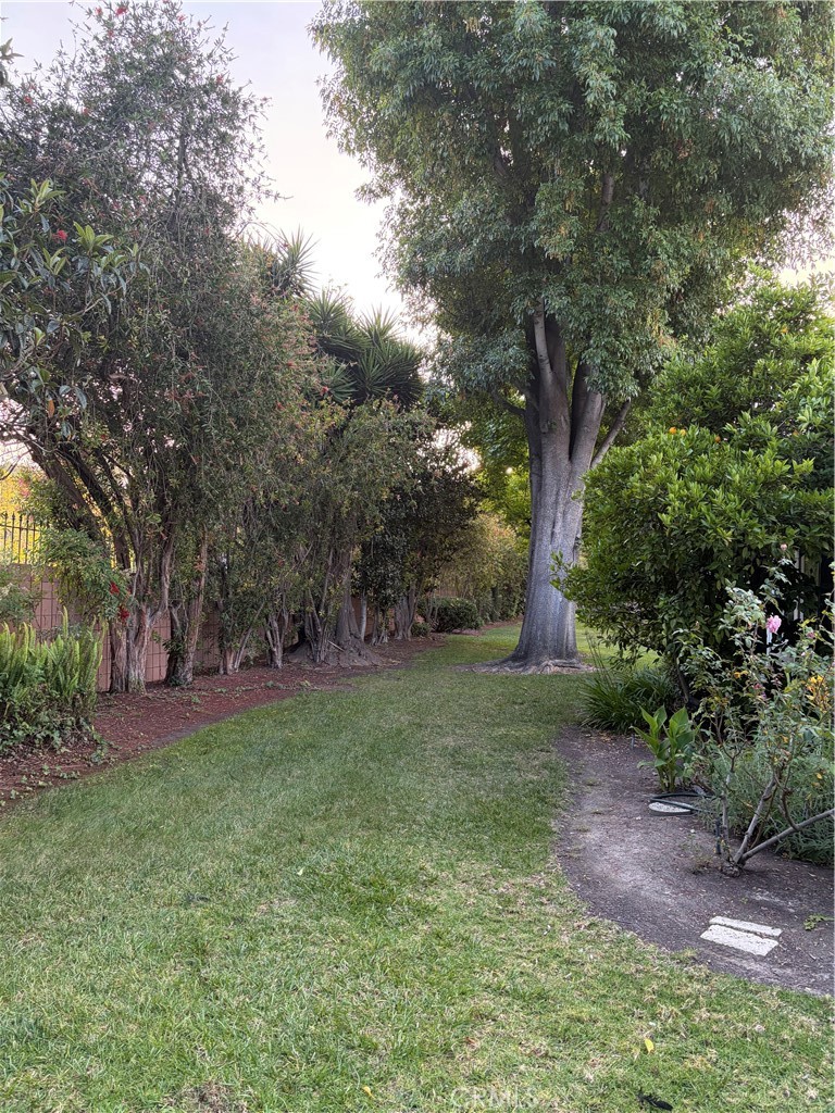 747 Avenida Majorca C Property Photo 28