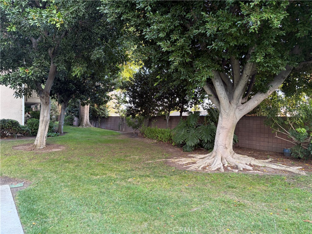 747 Avenida Majorca C Property Photo 31
