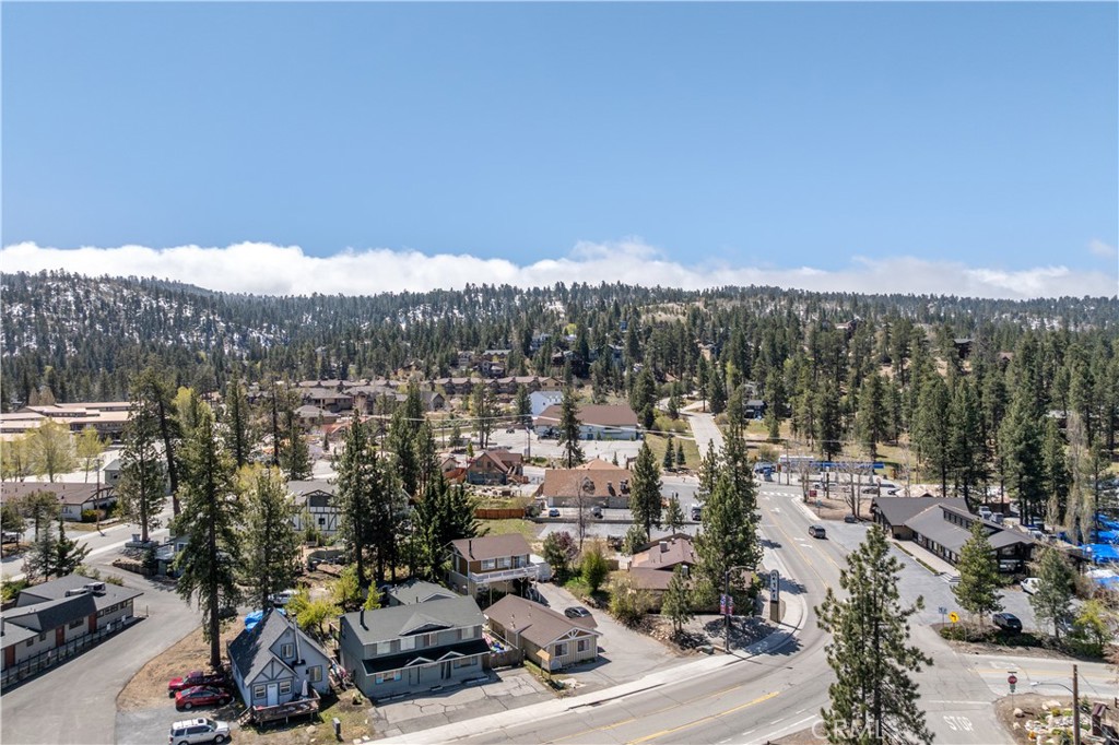 40565 Big Bear Property Photo 3