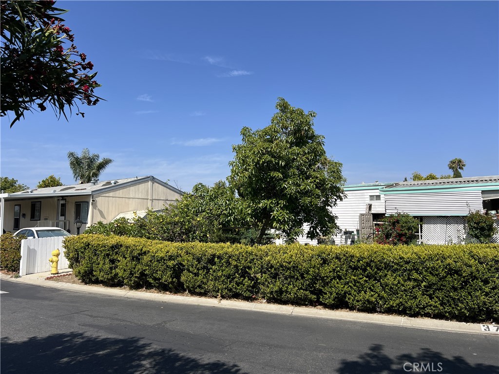 8200 Bolsa 37 Property Photo 4