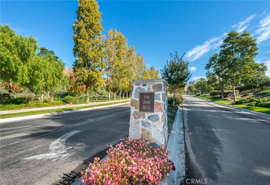 27971 Via De Costa Property Photo 50