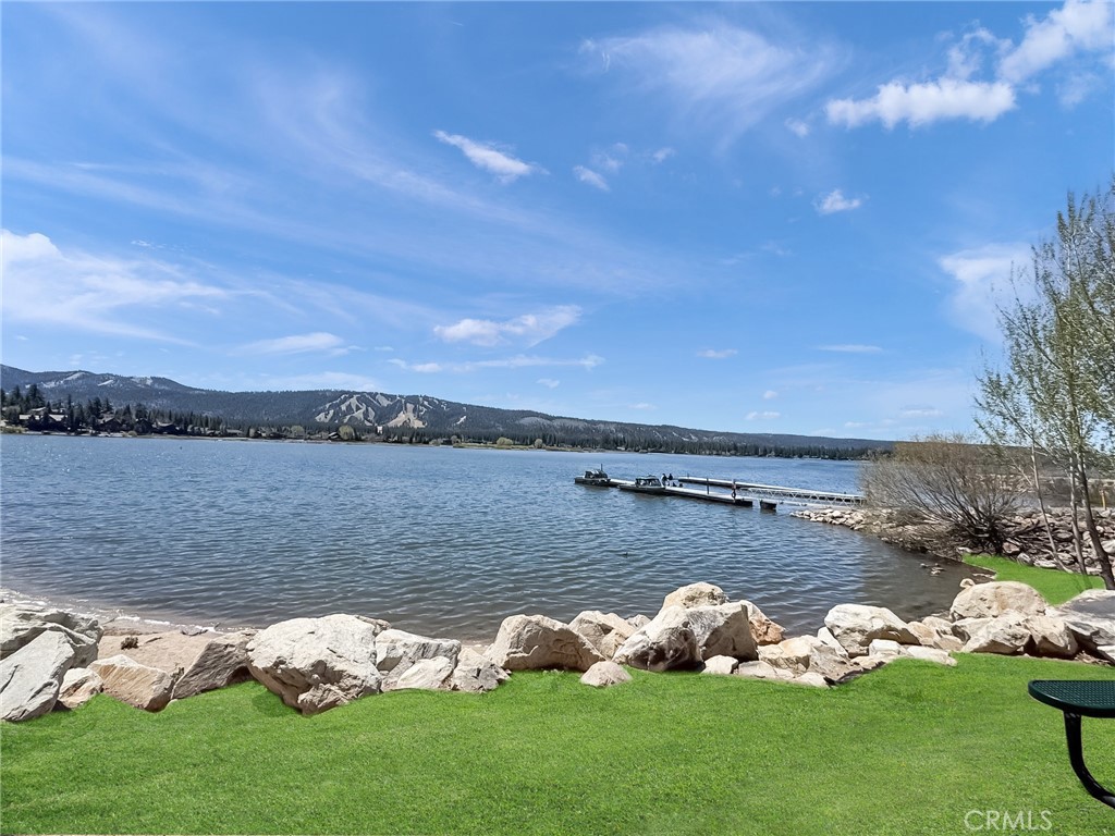 1170 Vine Property Photo 20