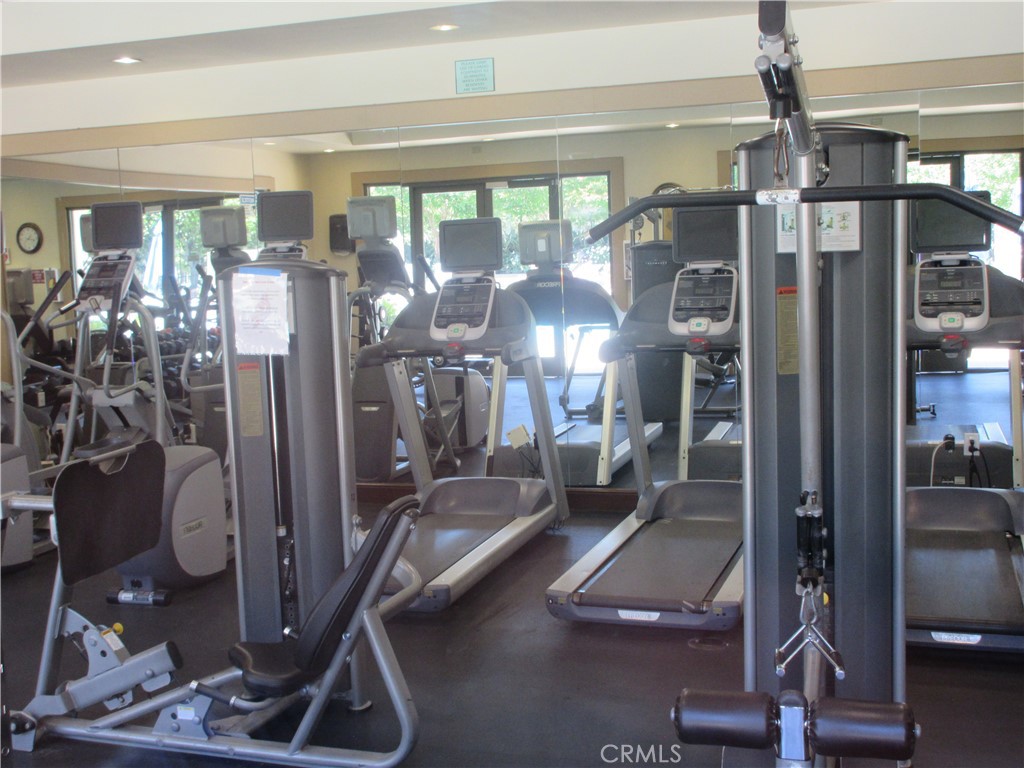 65 Figtree Property Photo 47