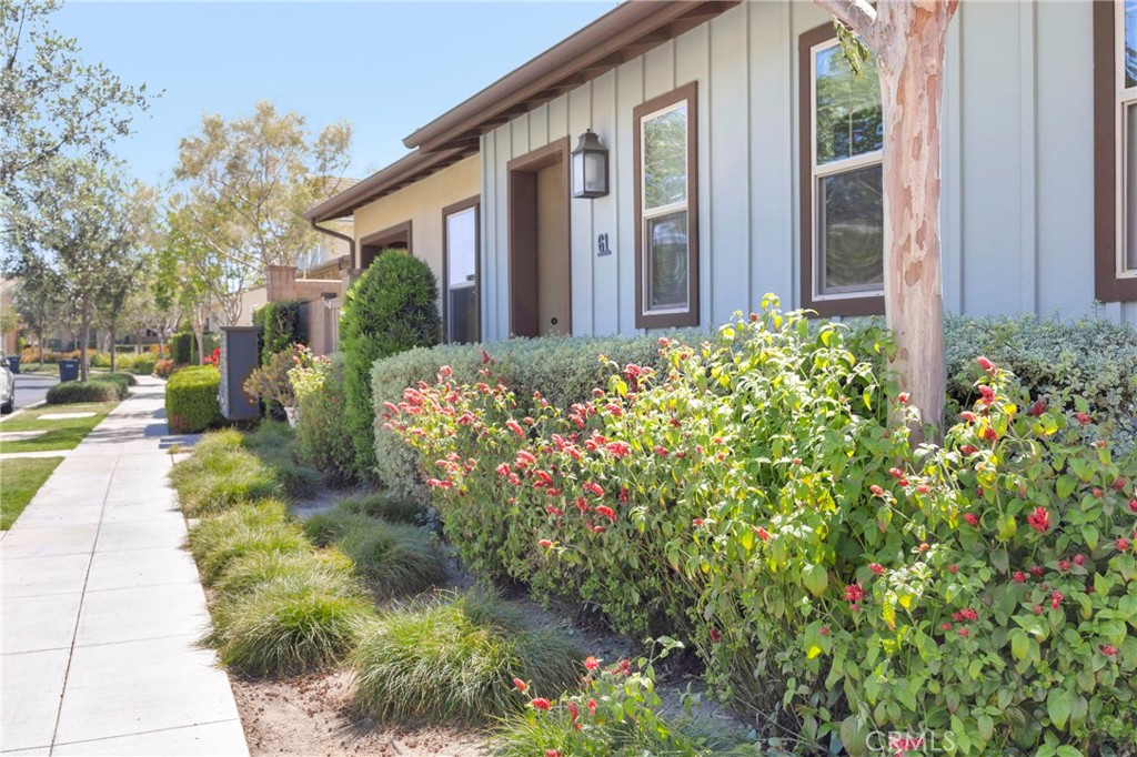 61 Garcilla Drive Property Photo 3
