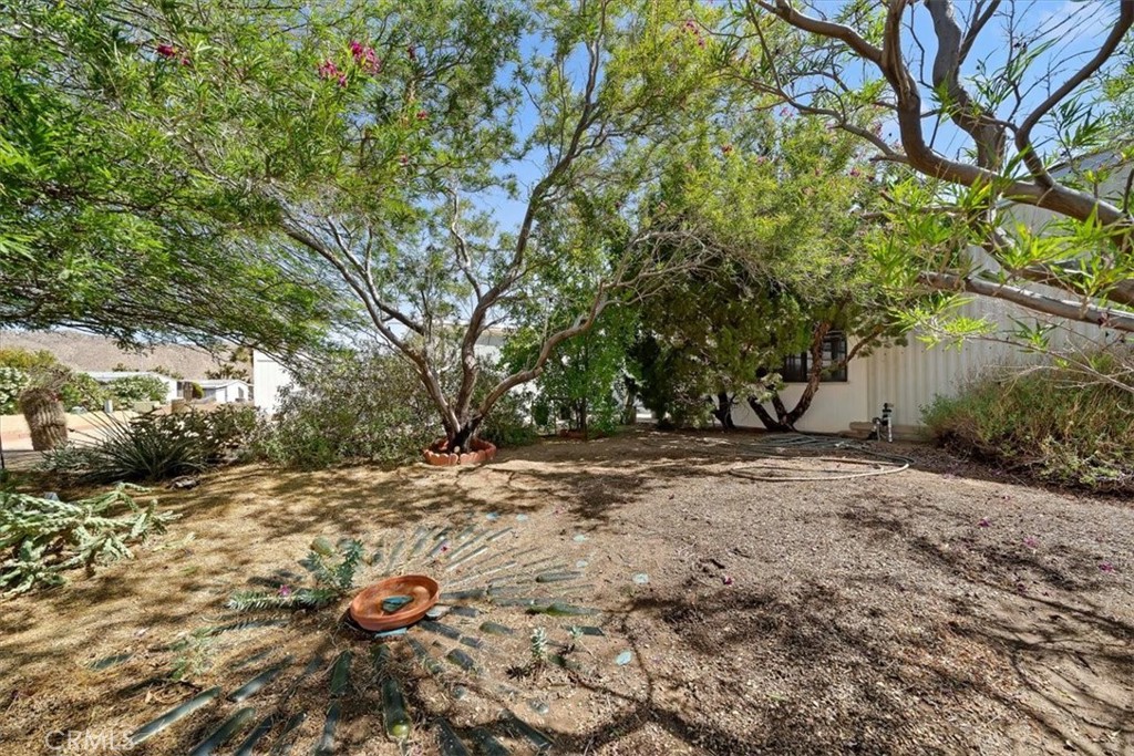 7501 # 192 Palm Property Photo 29