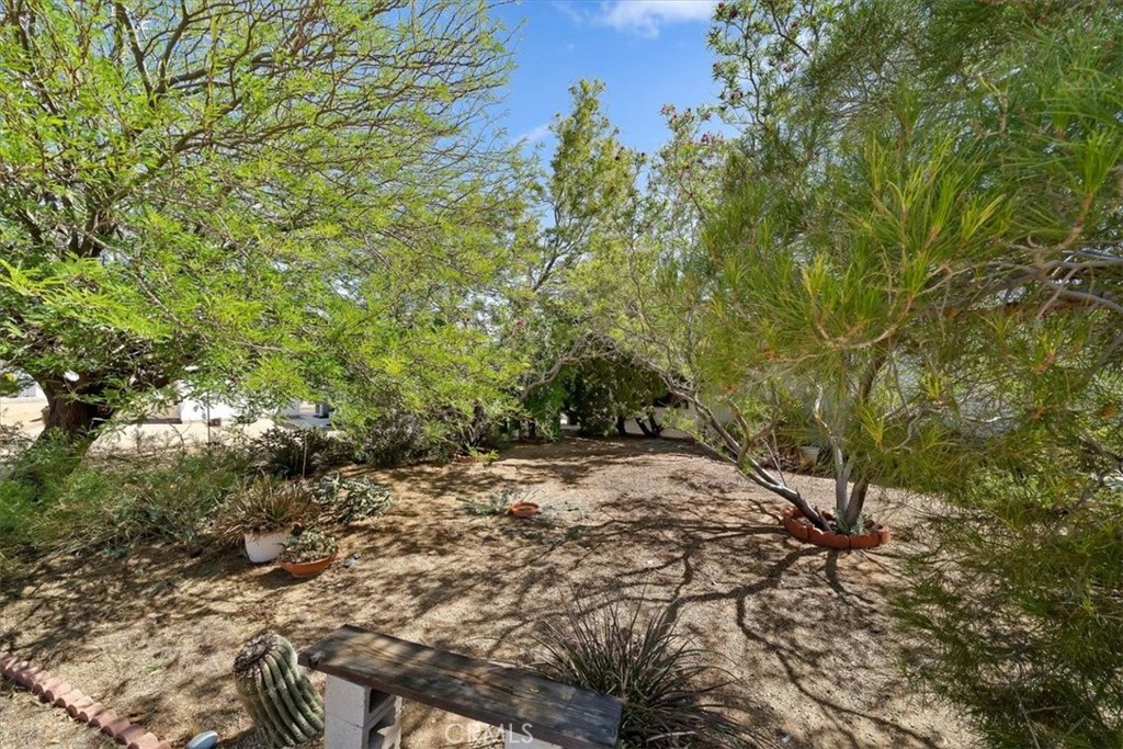7501 # 192 Palm Property Photo 30