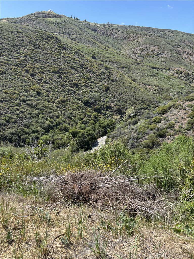 12110 Yellow Hill Property Photo 4