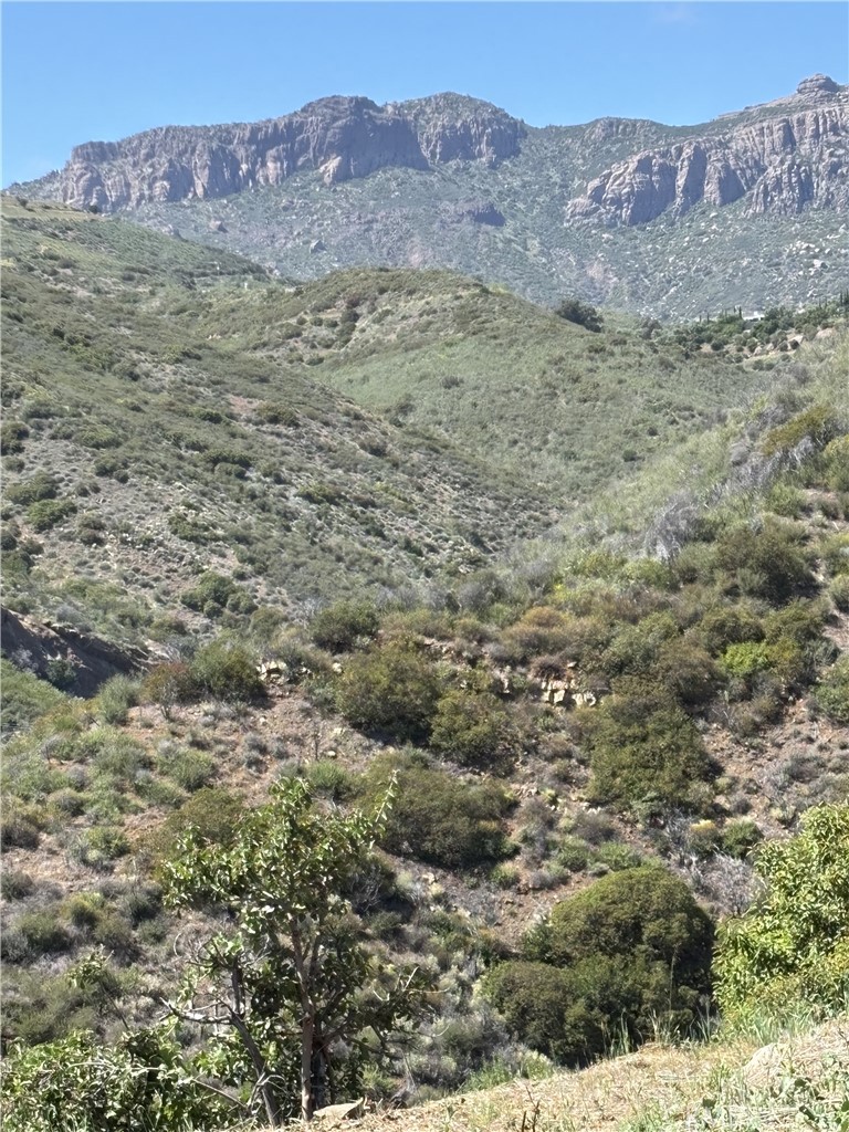 12110 Yellow Hill Property Photo 6