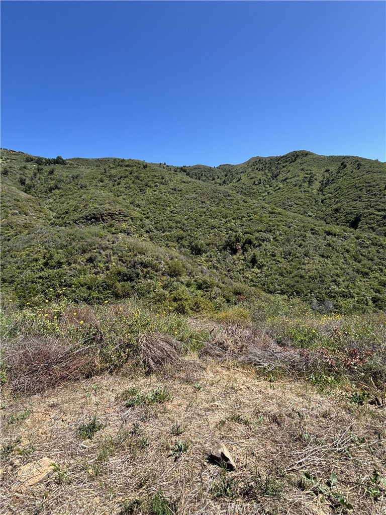 12110 Yellow Hill Property Photo 7