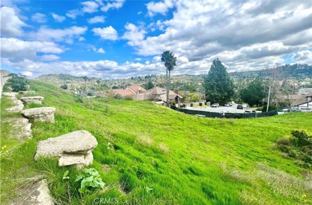 19351 Lemon Hill Drive Property Photo 1