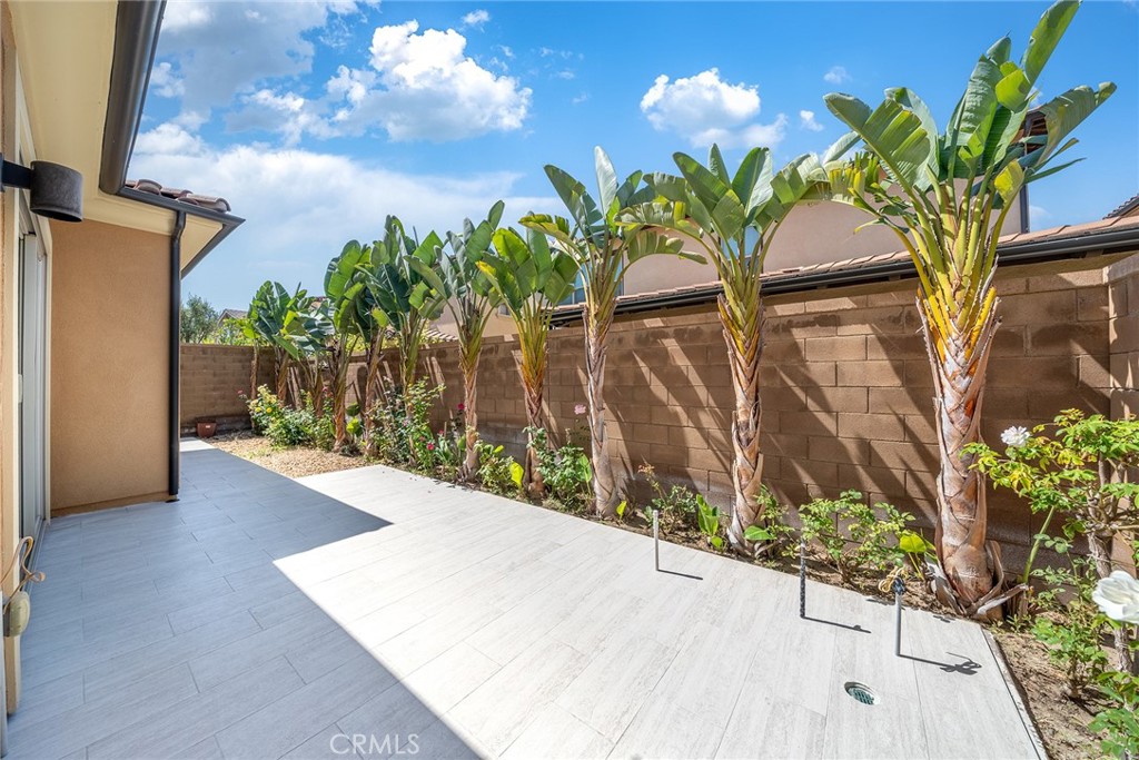 116 Cordial Property Photo 31