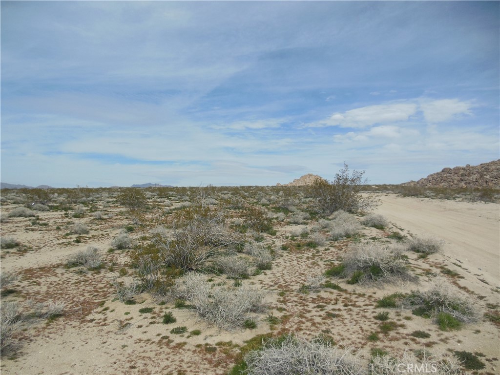 34100 Mercury Property Photo 4