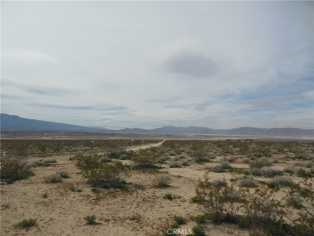 34100 Mercury Property Photo 5
