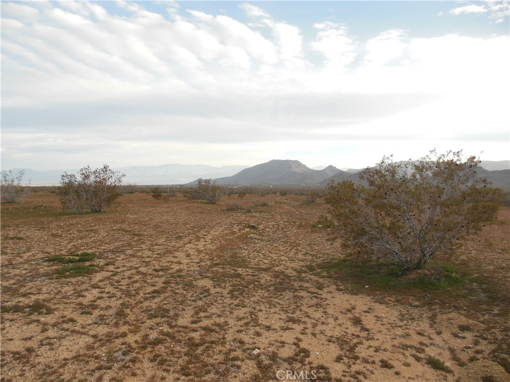 22000 Lorraine Avenue Property Photo 2
