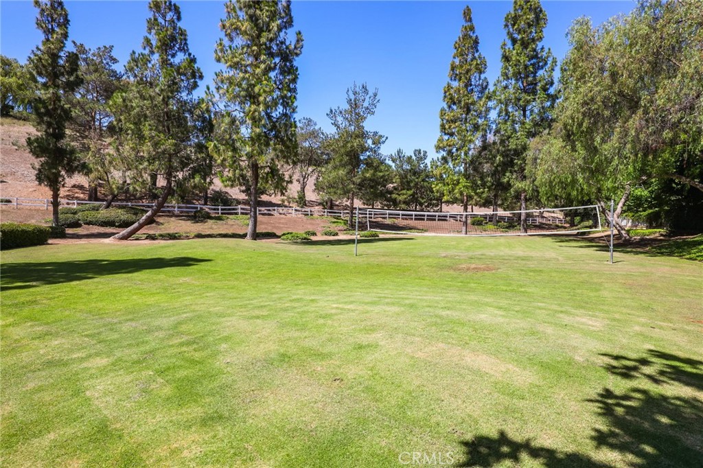 4305 Willow Tree Lane Property Photo 50