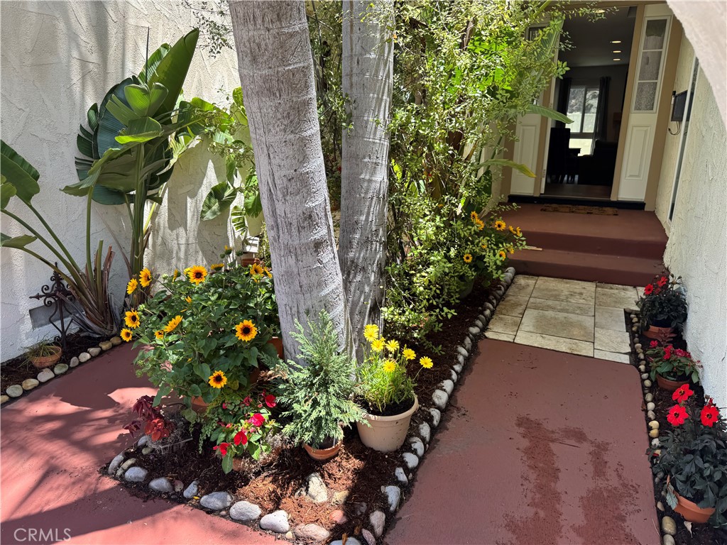 30724 Calle Resplendor Property Photo 4