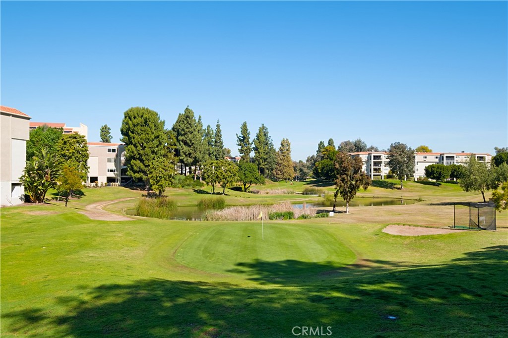 2234 Via Puerta C Property Photo 43