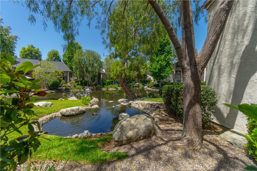 26701 Quail Creek 287 Property Photo 24