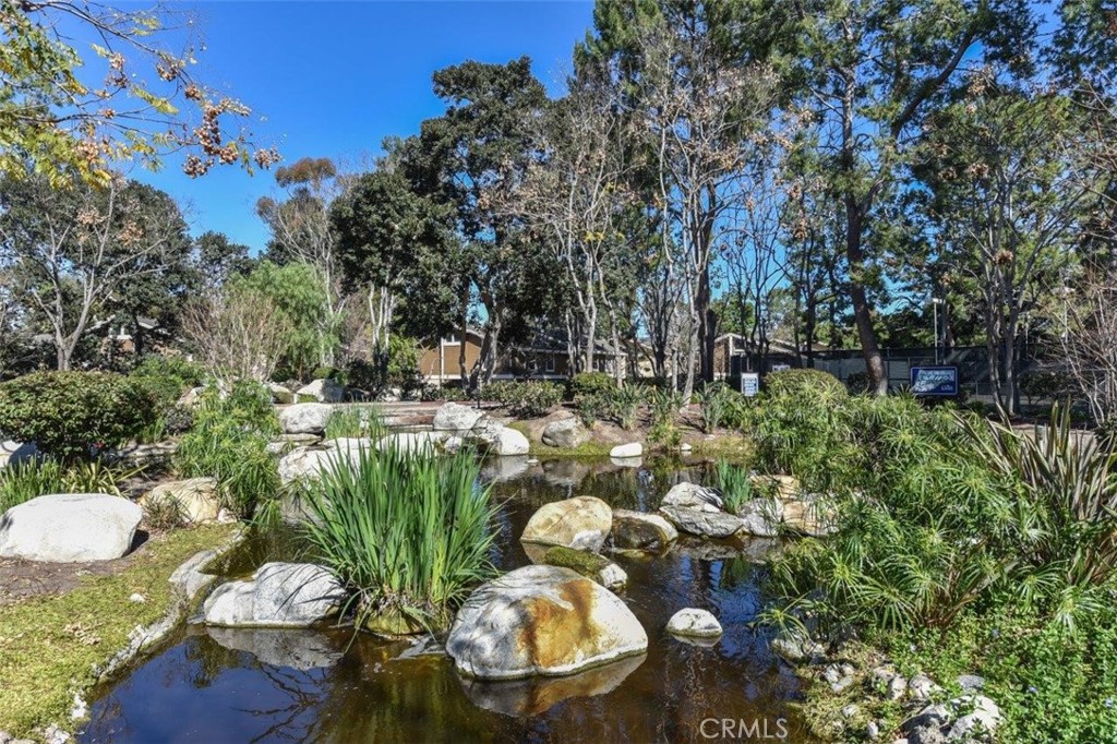 249 Pineview Property Photo 29