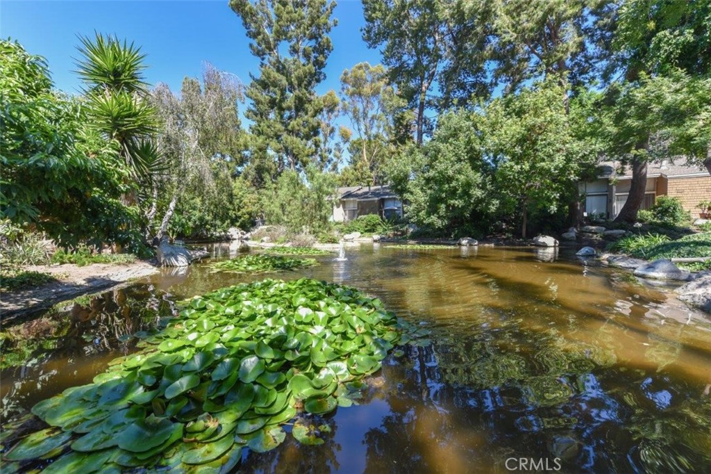 249 Pineview Property Photo 30
