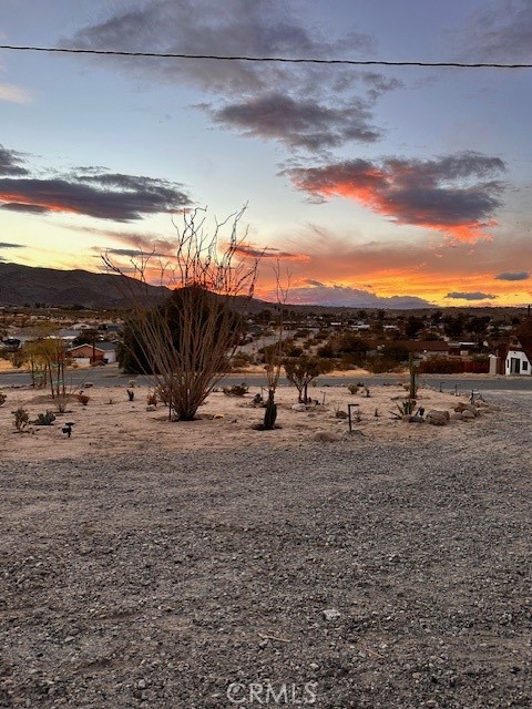 6597 Mesquite Springs Property Photo 44