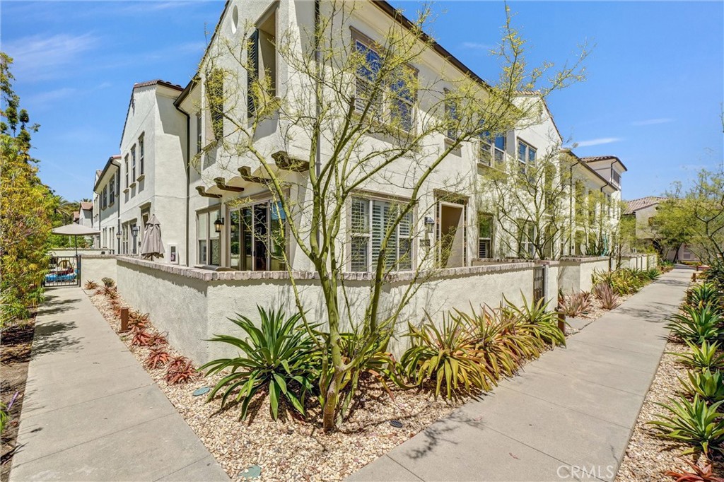 1009 El Paseo Property Photo 20