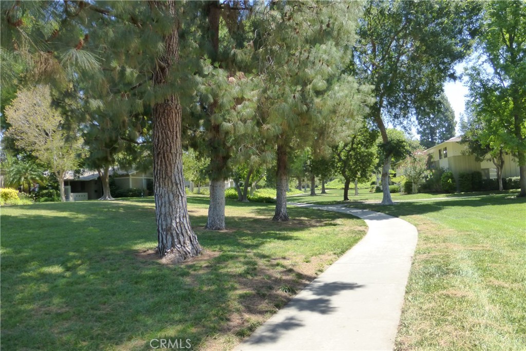 3254 San Amadeo C Property Photo 51