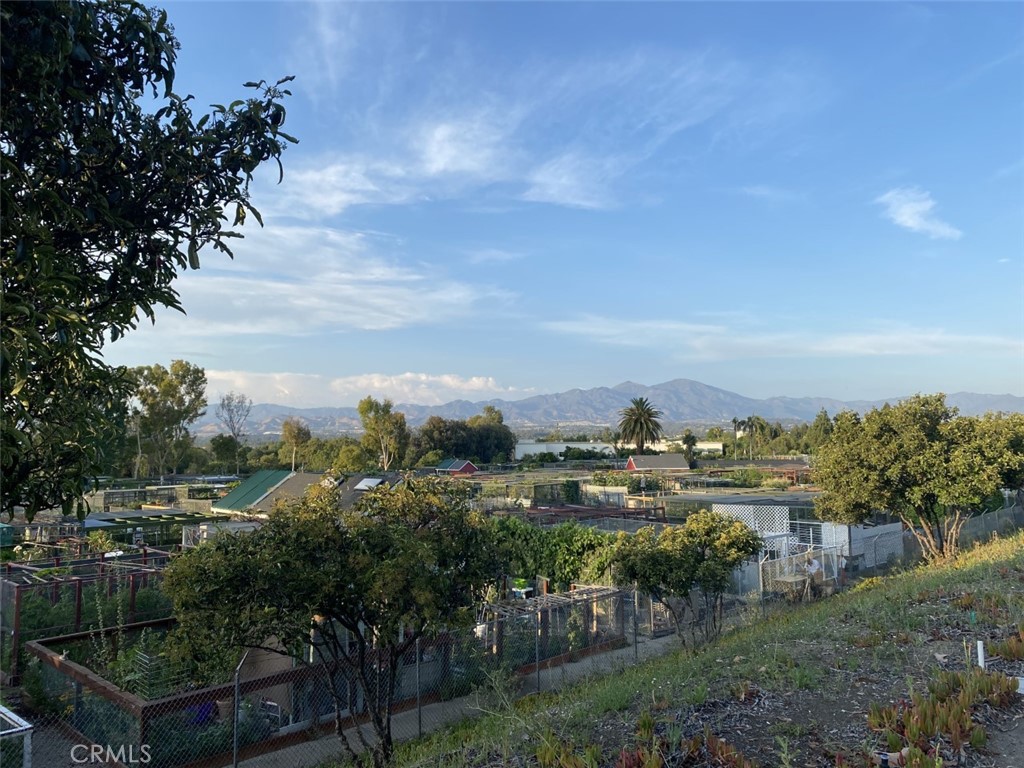 3254 San Amadeo C Property Photo 52