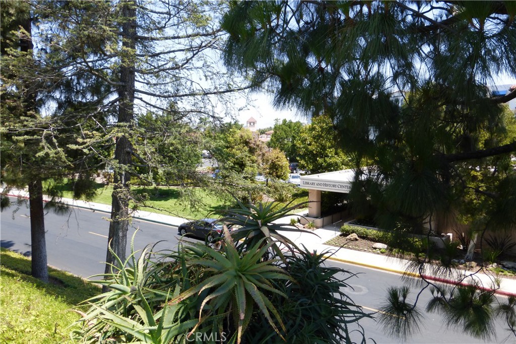 3254 San Amadeo C Property Photo 53