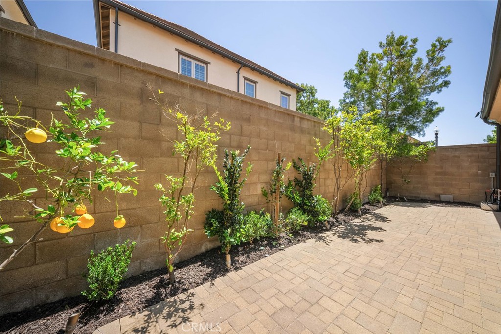 81 Cactus Flower Property Photo 44