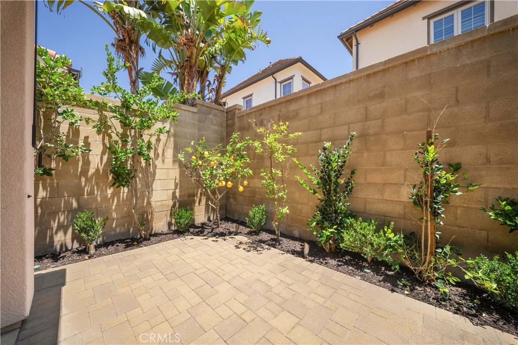 81 Cactus Flower Property Photo 45