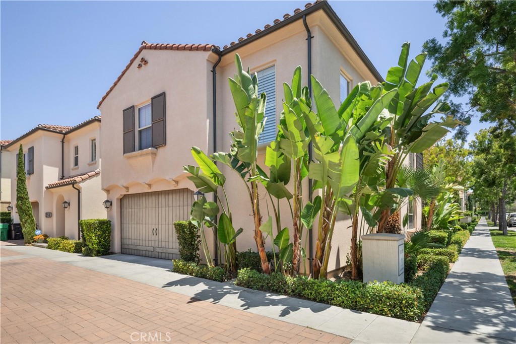 81 Cactus Flower Property Photo 46