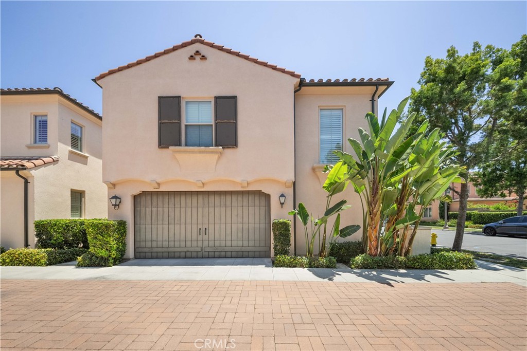 81 Cactus Flower Property Photo 47