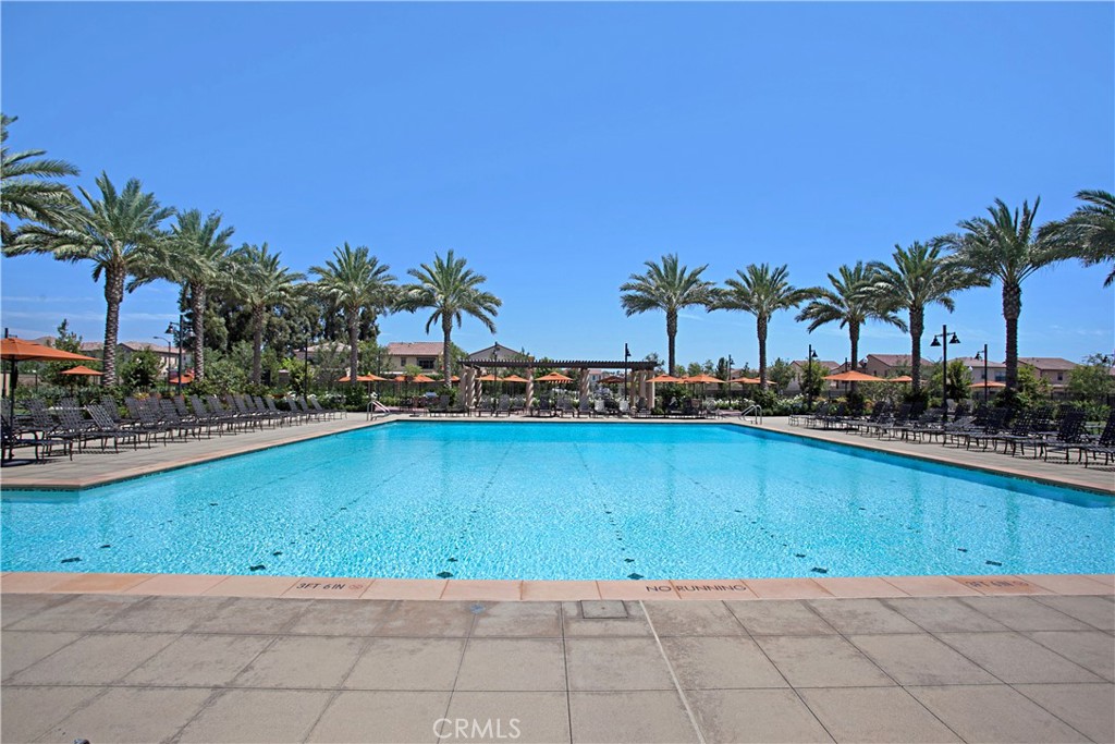 81 Cactus Flower Property Photo 63
