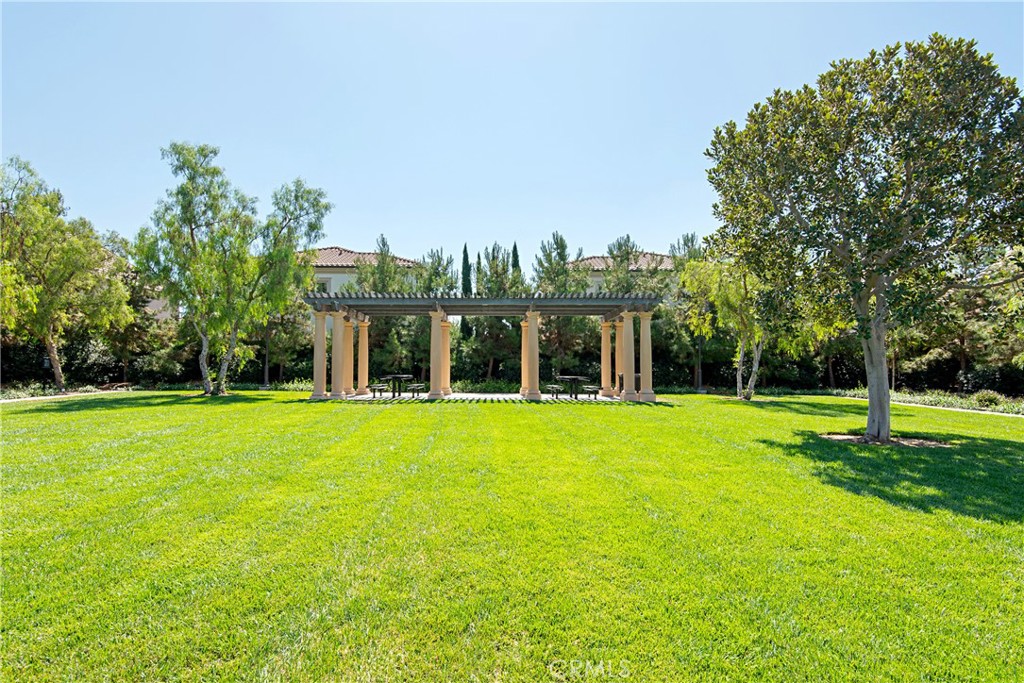 81 Cactus Flower Property Photo 65