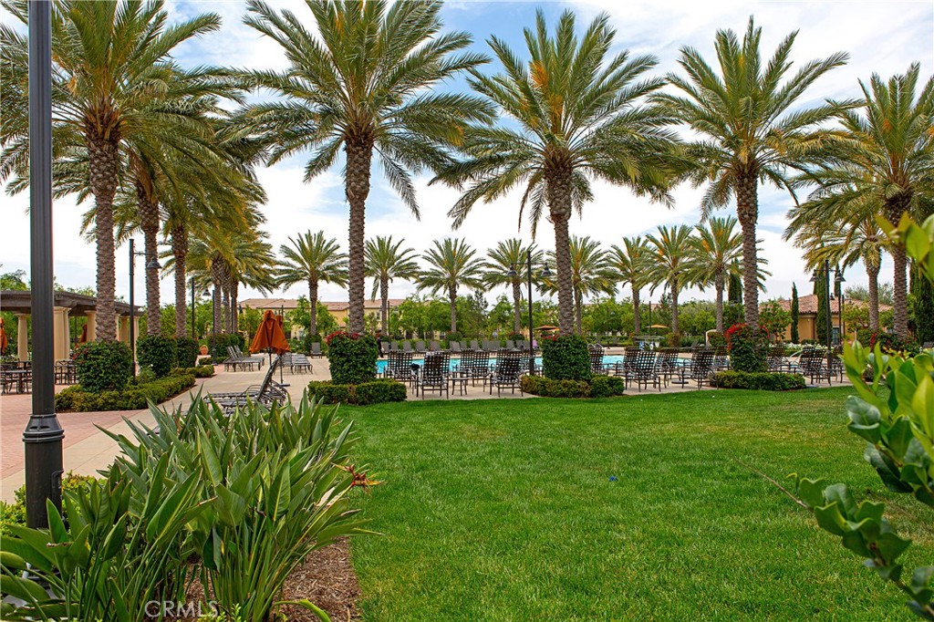 81 Cactus Flower Property Photo 69