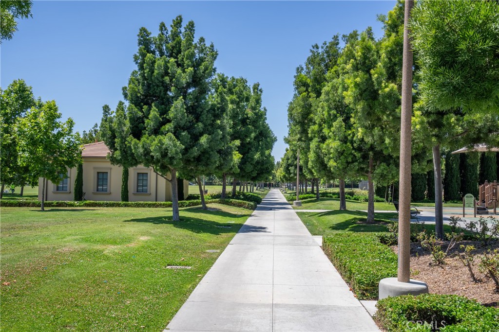 81 Cactus Flower Property Photo 72