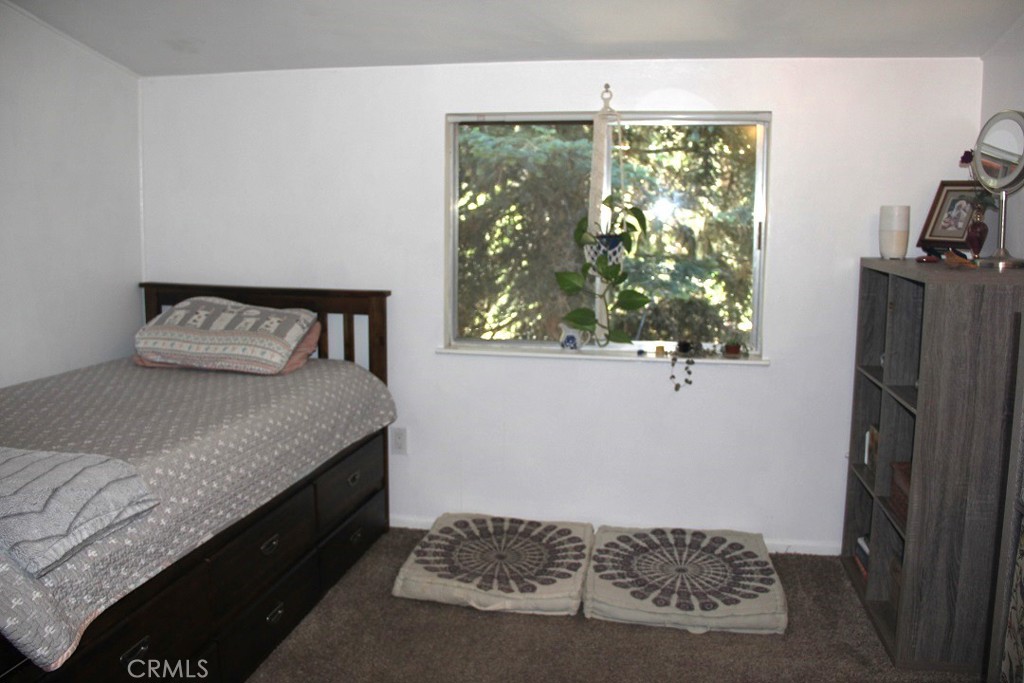 31705 Silver Spruce Drive Property Photo 13