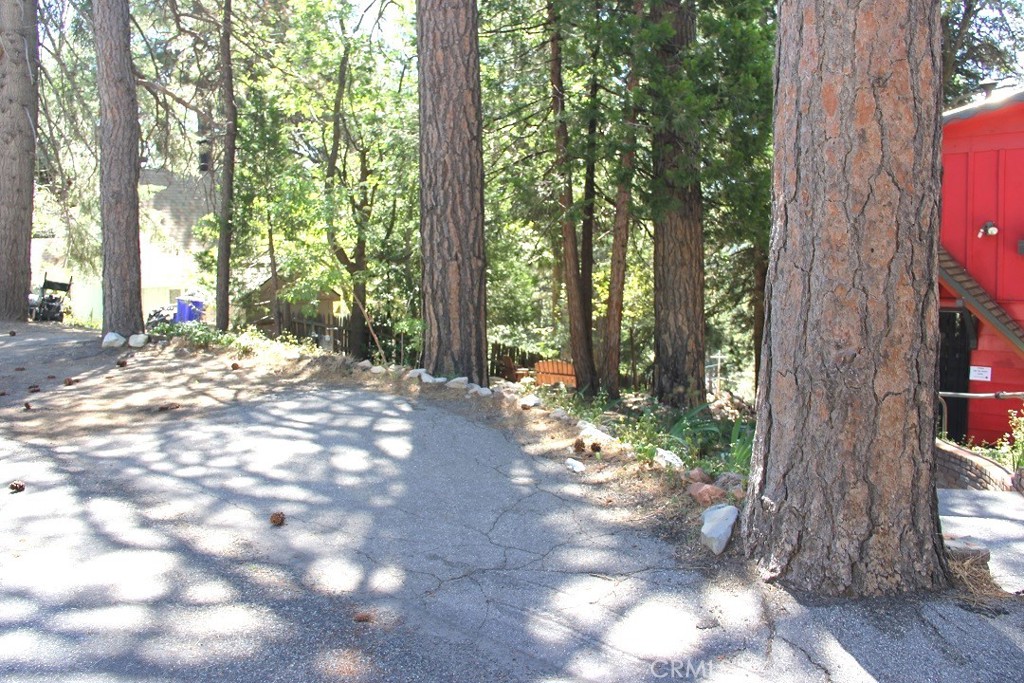 31705 Silver Spruce Drive Property Photo 19