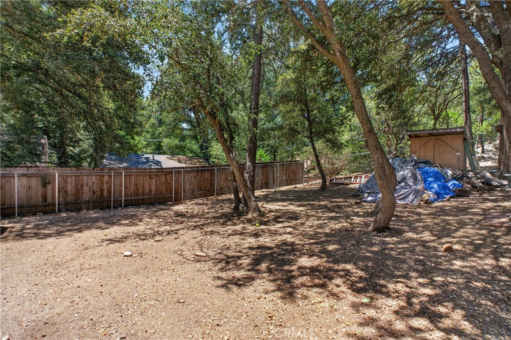 25151 Wrightwood Property Photo 18