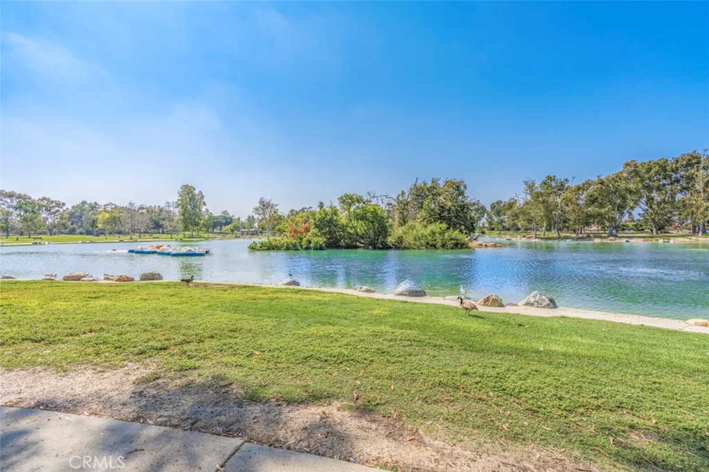 12042 Sylvan River 1 Property Photo 32