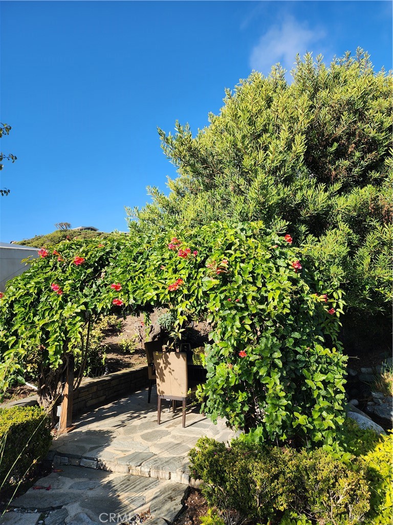 32732 Mediterranean Drive Property Photo 18