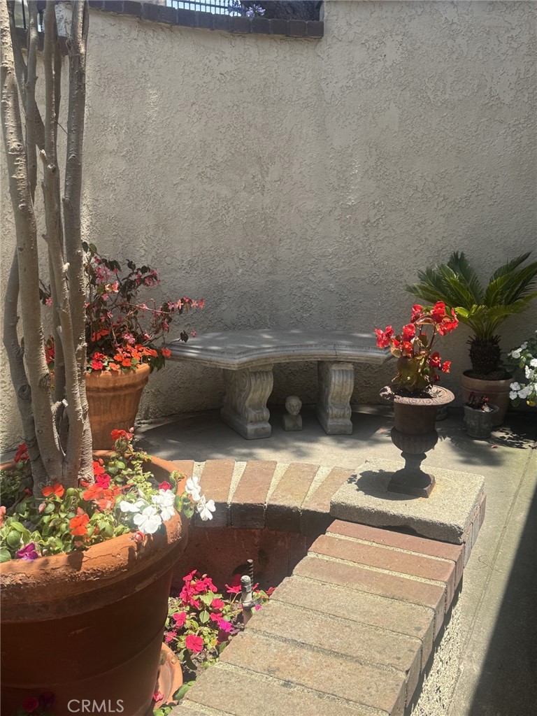 25062 Alicia C Property Photo 23