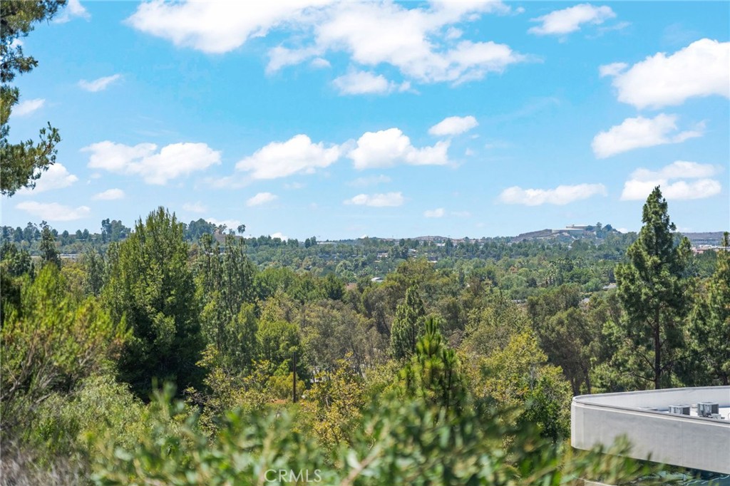201 California Court Property Photo 30