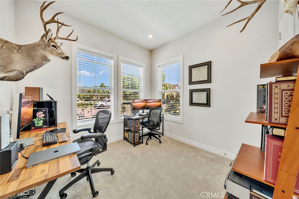 241 Burwood Property Photo 3