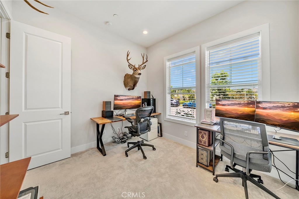 241 Burwood Property Photo 4