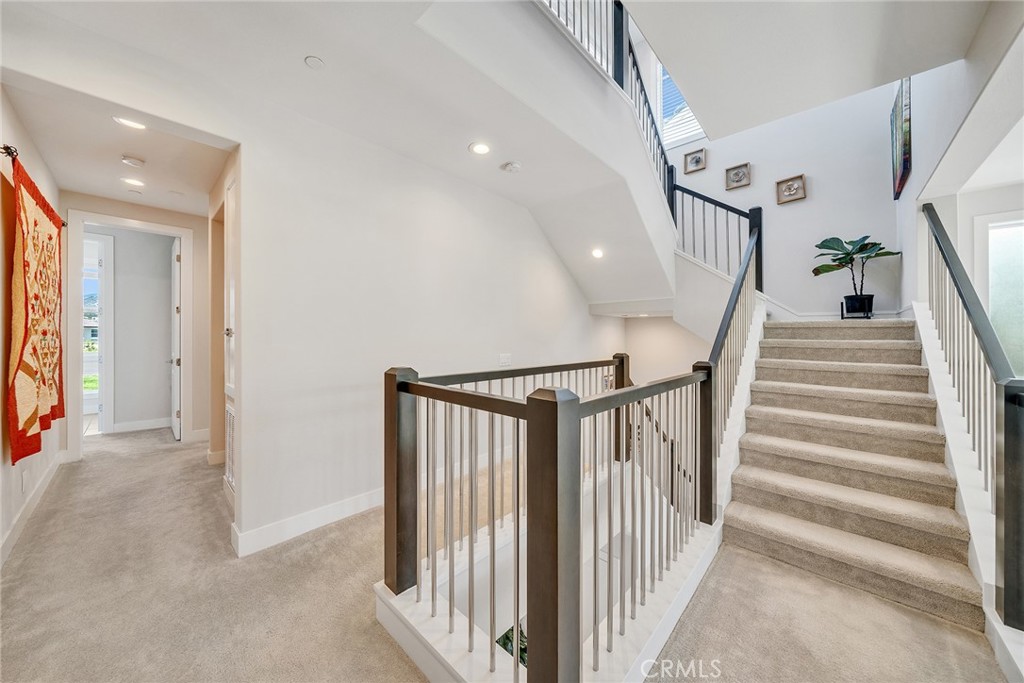 241 Burwood Property Photo 39