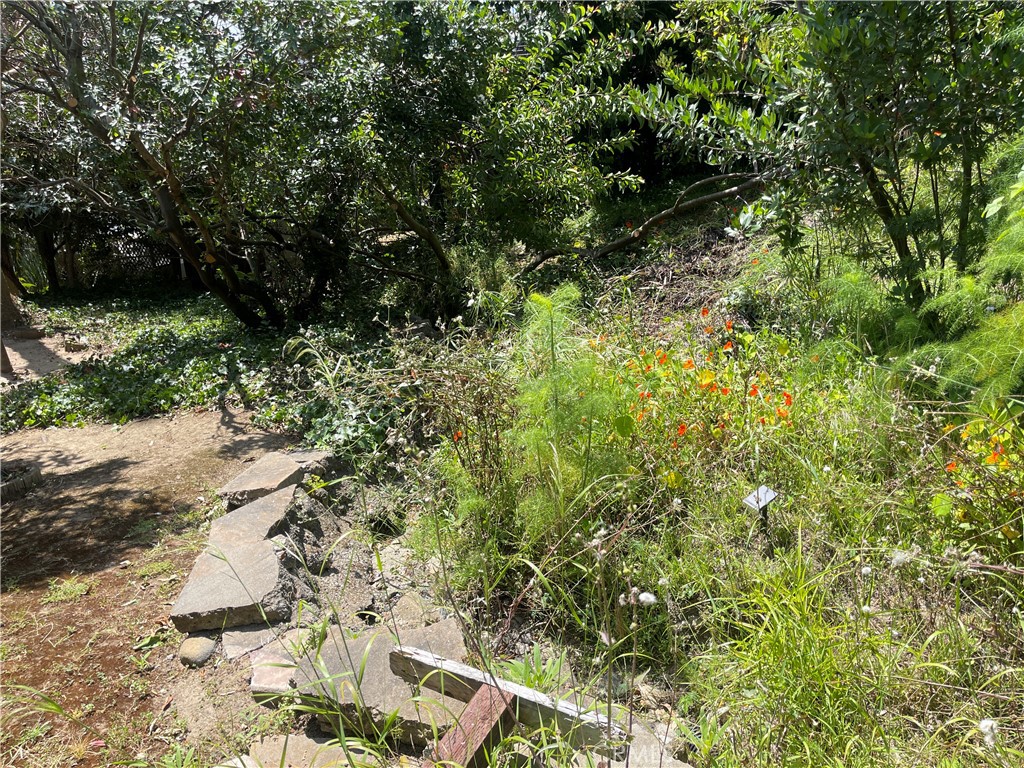 OC26129315 Property Photo 52