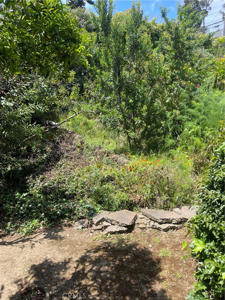 OC26129315 Property Photo 54